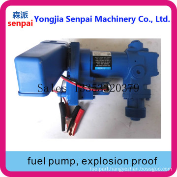 Dyb50/75-DC12b Electric Transfer Pump, Explosion Proof